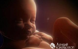 Ощущения ребенка и связь с матерью: во время беременности, родов и в первые дни жизни