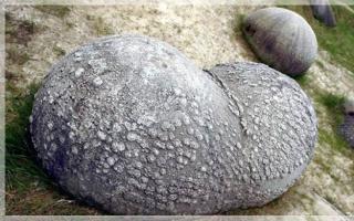 Живые камни, которые растут и размножаются Могут ли в природе быть прямые камни